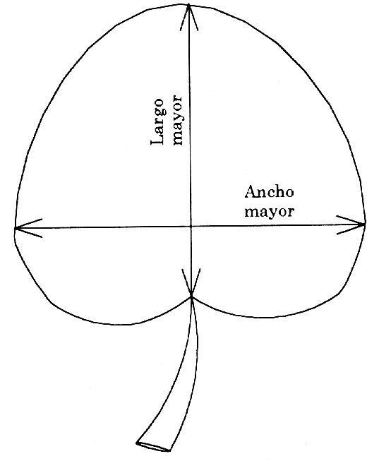 1420101